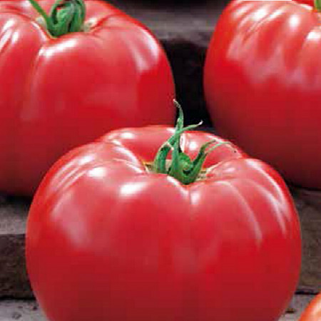 Big Beef F1 (100 seminte) tomate timpurii, Seminis