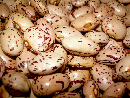 Borlotto Lamon (10 gr) seminte de fasole urcatoare bob tarcat, Agrosem