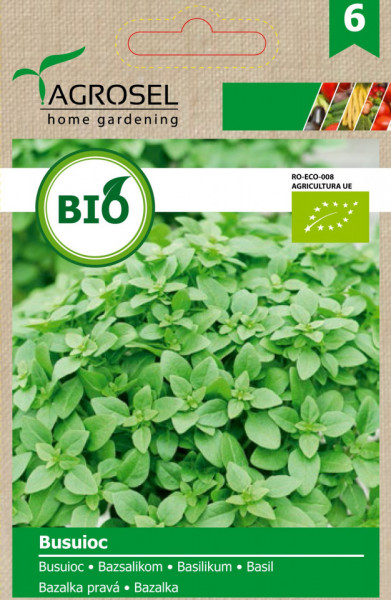 Busuioc BIO (100 seminte) de busuioc verde ECO certificat ecologic planta aromatica, Agrosel