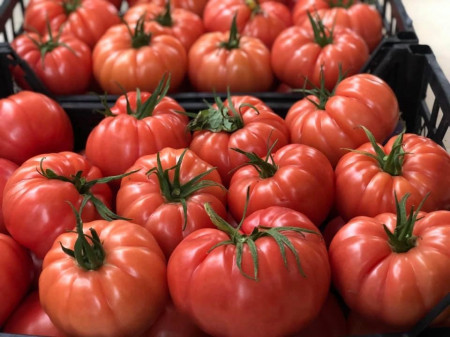 Cassarosa F1 (500 seminte) tomate crete - costate, culoare roz - violet nedeterminate, Yuksel
