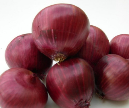 Ceapa Rosie de Firenze - 10 gr - Seminte de Caeapa Rosie de Salata Capatana Mare