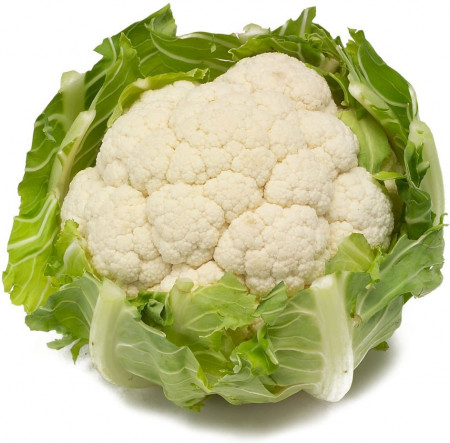Charlot F1 (1000 seminte) conopida cu capatani perfect albe bine indesate ideala pentru cultivatori unde calitatea marfii conteaza, Bejo