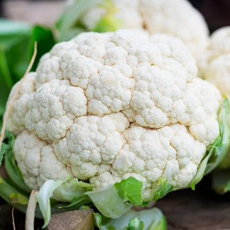 Conopida Snowball (300 seminte) conopida soi semitimpuriu, Agrosem