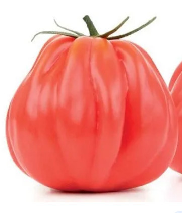 Cuore della Riviera Albenga (50 seminte) de tomate crete semitimpurii soi traditional italian, Chemyfarm