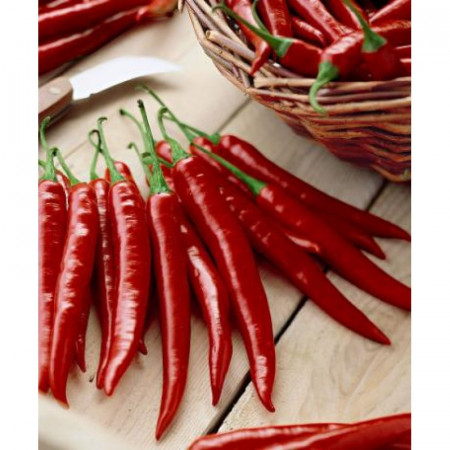 De Cayenne (50 seminte) ardei iute, iuteala medie, gust foarte aromat, Agrosel