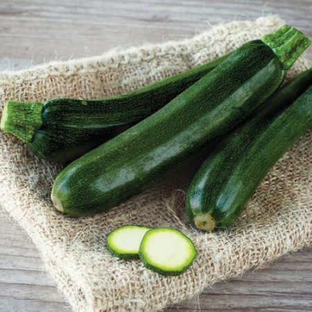 Dovlecel Black Beauty (21 seminte) dovlecel zucchini soi productiv, fara vrej, Agrosem