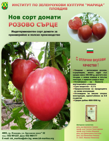 Inima Roz (50 seminte) tomate nedeterminate semitimpurii Soi rosii Mari