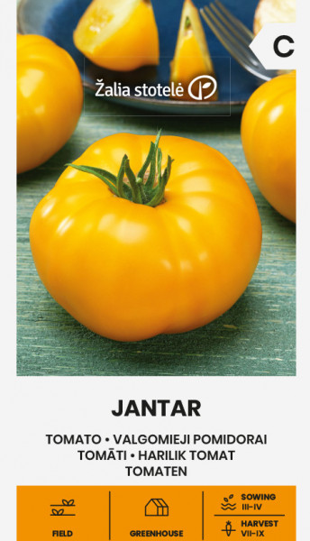 Jantar (60 seminte) de rosii galbene timpurii nedeterminate, fructe usor plate, carnoase, mari de 450-600 gr, foarte gustoase si parfumate, Seklos