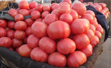 Malinowy Ozarowski (300 seminte) tomate tip Gigant Roz nedeterminate, gust de odinioara tip Beef, origine Polonia