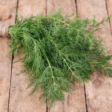 Marar autohton - 10 grame - Seminte de marar traditional bulgaresc caracterizat prin aroma puternica si placuta tolerant la diferite conditii meteorologice de la Florian