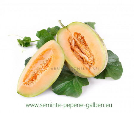 Perla F1 - 5 gr - Seminte Pepeni Galbeni bulgaresti profesionale