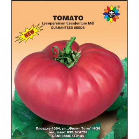 Pink Dream (150 seminte) de tomate toze traditionale de tara, nedeterminate, Biosem