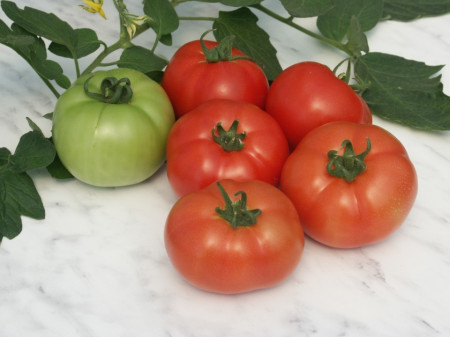 Reyana F1 (50 seminte) tomate cu crestere nedeterminata semitimpurii, Geosem Bulgaria