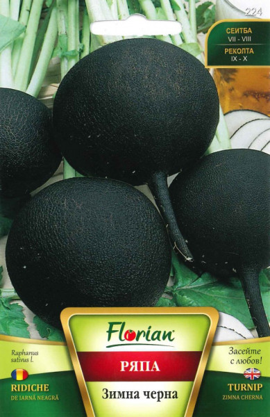 Ridichi NEGRE DE IARNA - 5 gr - Seminte de Ridichi negre de iarna