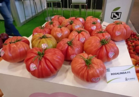 Rosalinda F1 (500 seminte) rosii nedeterminate tip inima de bou roz, Sementi