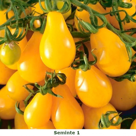 Rosii Perun (150 seminte) de rosii galbene tip cherry prunisoara, Kertimag