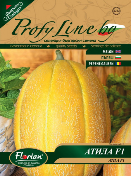 Atila F1 (25 seminte) pepene galben bulgaresc feliat, semi-timpuriu, pulpa crocanta, fruct 3 - 4 kg, Florian