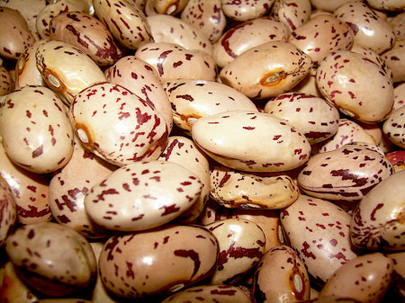 Borlotto Lamon (50 gr) seminte de fasole urcatoare bob tarcat, Agrosem