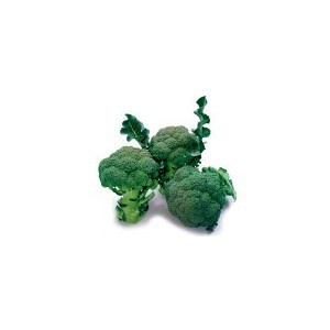 Broccoli MARATHON F1 (60 seminte) de Broccoli MARATHON hibrid semitardiv Sakata