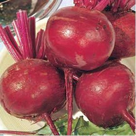 Detroit/Globe F1 (250 gr) seminte sfecla rosie ideala pentru consumul in stare proaspata dar si pentru procesare cu un continut ridicat de zahar, Clause