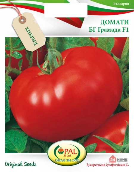 Gramada F1 (1 gr) Seminte Tomate Hibrid Nou Bulgaresc Nedeterminat Semitimpuriu