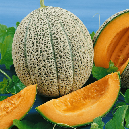 Hale's Best Jumbo (70 seminte) de pepene galben soi timpuriu, miez portocaliu, zemos, gust placut, Prima Sementi