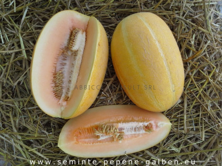 Kehlibar F1 (100 gr) seminte de pepene galben, bulgaresti profesionale, Agrotop Bulgaria