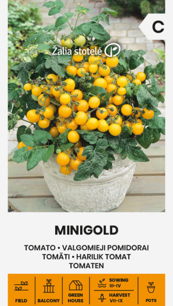 Minigold (50 seminte) de rosii cherry galbene cu fructe rotunde si delicioase, Seklos