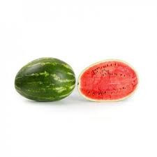 Morgan F1 (100 seminte) pepene verde tip Crimson Sweet, Rijk Zwaan