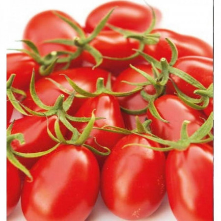 Nicoleta F1 (100 seminte) de tomate nedeterminate de tip cocktail, fruct in forma de para, rosu intens, Yuksel