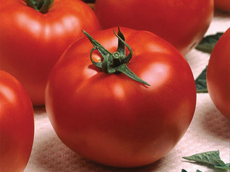 Optima F1 (25 seminte) de rosii cu crestere nedeterminata, Seminis