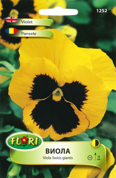 Pansele GALBENE - Seminte Flori Pansele GALBENE de la Florian