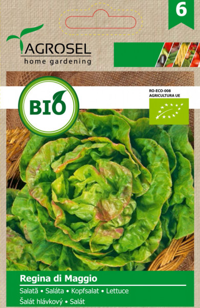 Regina di Maggio BIO (2000 seminte) salata ECO certificate ecologic, Agrosel