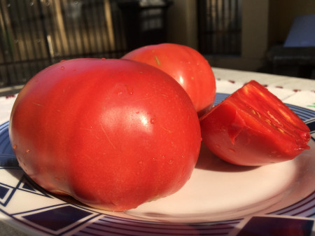 Rozamax Tomate Roz (0.5 gr), Seminte de Rosii Gigant roze Rozamax de la Florian Bulgaira Soi Nou