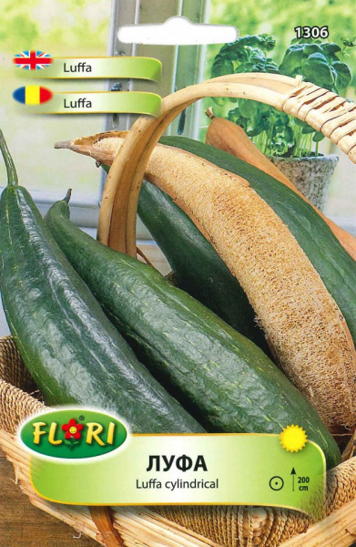 Seminte de Luffa Cylindrical planta din familia castravetelu Luffa, de la Florian