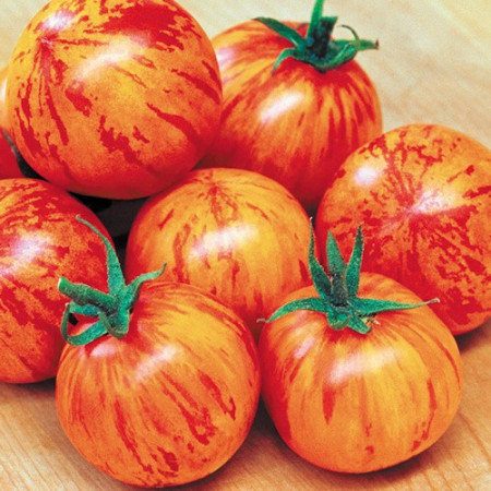 Tigerella (100 seminte) tomate de culoare rosu intens cu dungi portocalii, gust placut, Agrosem