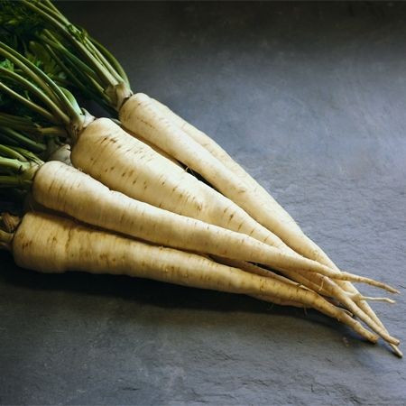 Arat (500 gr) seminte patrunjel radacina recomandat pentru industrializare si consum in stare proaspata, Bejo