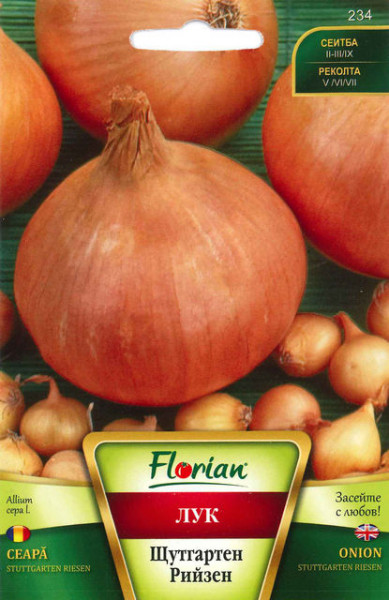Ceapa STUTTGARTEN - 100 gr - Seminte de Ceapa Soi semiiute semitimpuriu Florian Bulgaria