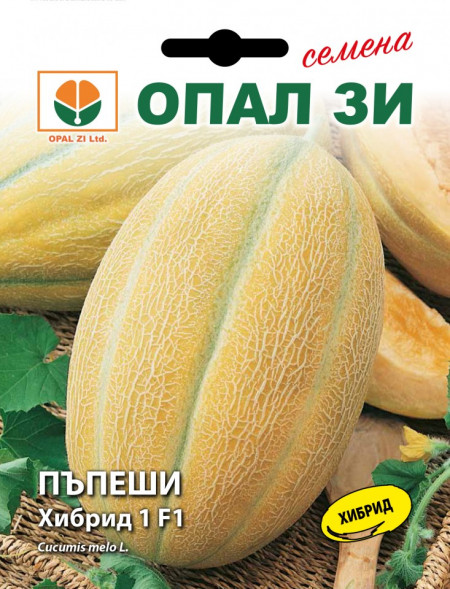 Hibrid 1 F1 - 10 gr - Seminte Pepeni Galbeni Bulgaresti Profesionale de la Opal Bulgaria