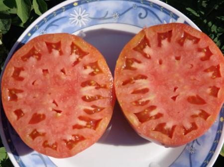 Inima de Miere F1 Honey Heart (300 seminte) rosii nedeterminate, Superior Serbia