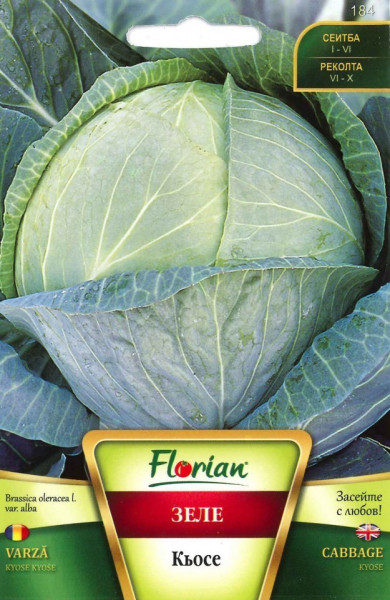 Kyose - 100 gr - Seminte de Varza de Toamna KYOSE Soi tardiv foarte Productiv de la Florian Bulgaria