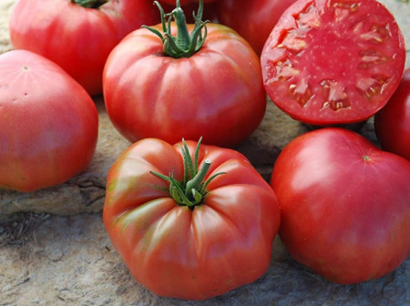 Malinowy Ozarowski (300 seminte) tomate tip Gigant Roz nedeterminate, gust de odinioara tip Beef, origine Polonia
