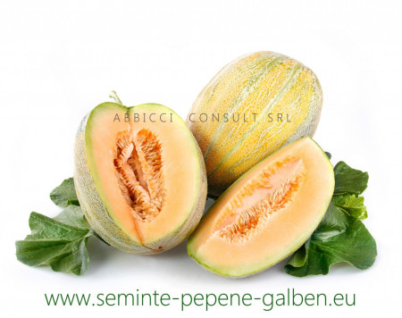 Perla F1 - 100 gr - Seminte de Pepene Galben bulgaresti profesionale