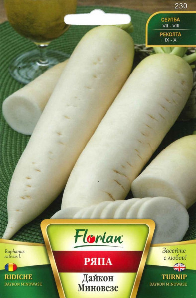 Ridichi DAIKON MINOWASE - 5 gr - Seminte de Ridichi Daikon Albe soi semitimpuriu Florian Bulgaria
