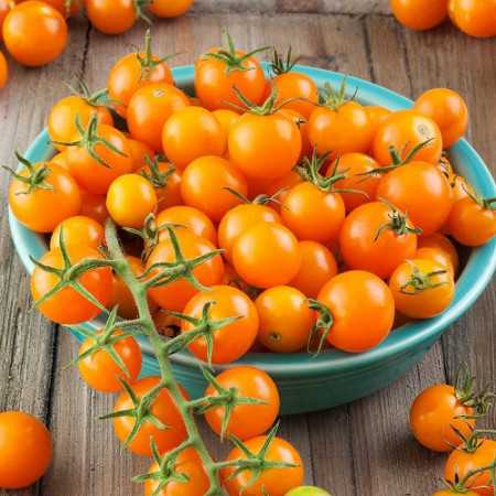 Rosii Cherry Portocaliu (100 seminte) tomate tip cherry portocalii soi timpuriu nedeterminat, Florian Bulgaria