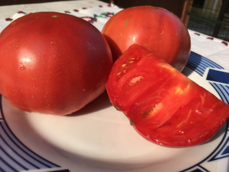 Rozamax Tomate Roz (0.5 gr), Seminte de Rosii Gigant roze Rozamax de la Florian Bulgaira Soi Nou