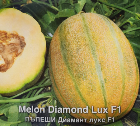 Seminte pepene galben Diamant Lux F1 (5 gr), hibrid extratimpuriu bulgaresc, Opal