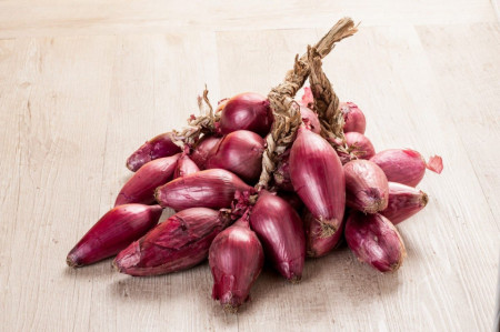 Tropea Rossa Lunga (100 grame) seminte ceapa rosie alungita, Profit Seeds