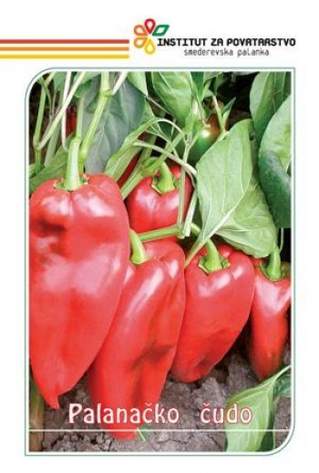 Ardei Capia Minunea Palanacko (Palanacko Cudo) - 50 gr - seminte ardei capia fructe foarte mari