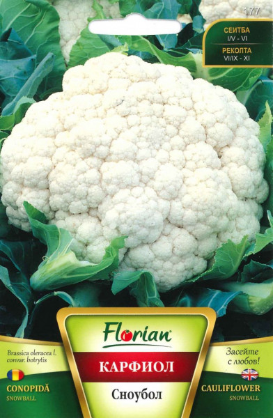 Conopida Snowball (1.5 g), Seminte de conopida Soi semitimpuriu, Florian